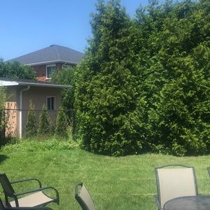 Meet your Posher, Anastasia